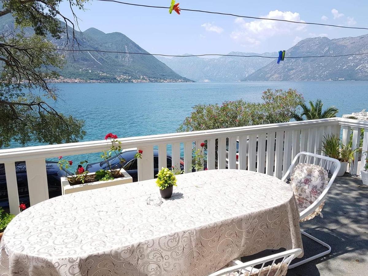 Montenegro Apartmant'S Kotor Exteriör bild