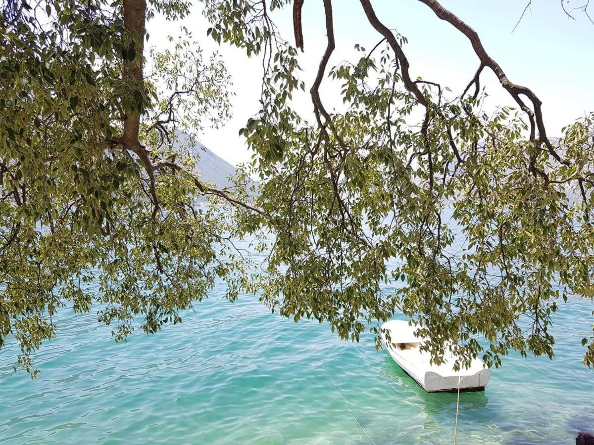 Montenegro Apartmant'S Kotor Exteriör bild