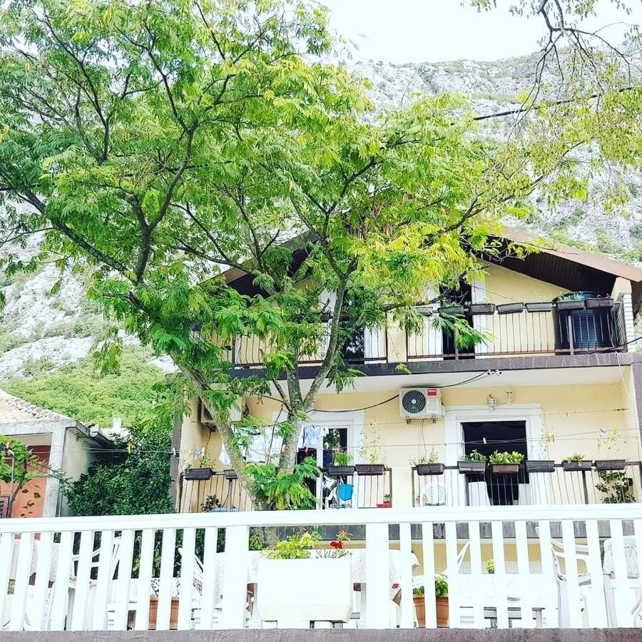 Montenegro Apartmant'S Kotor Exteriör bild