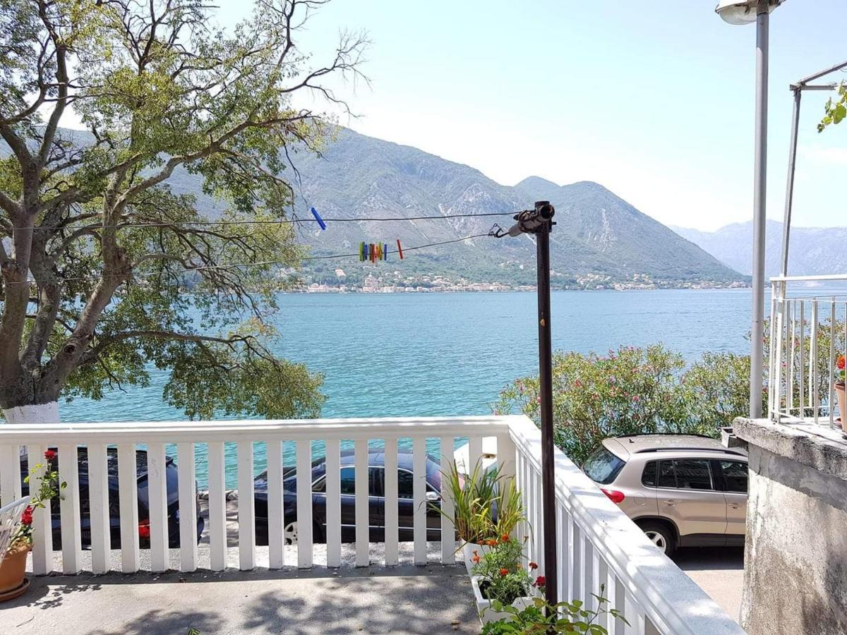 Montenegro Apartmant'S Kotor Exteriör bild